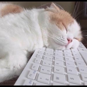 Meet your Posher, Surena